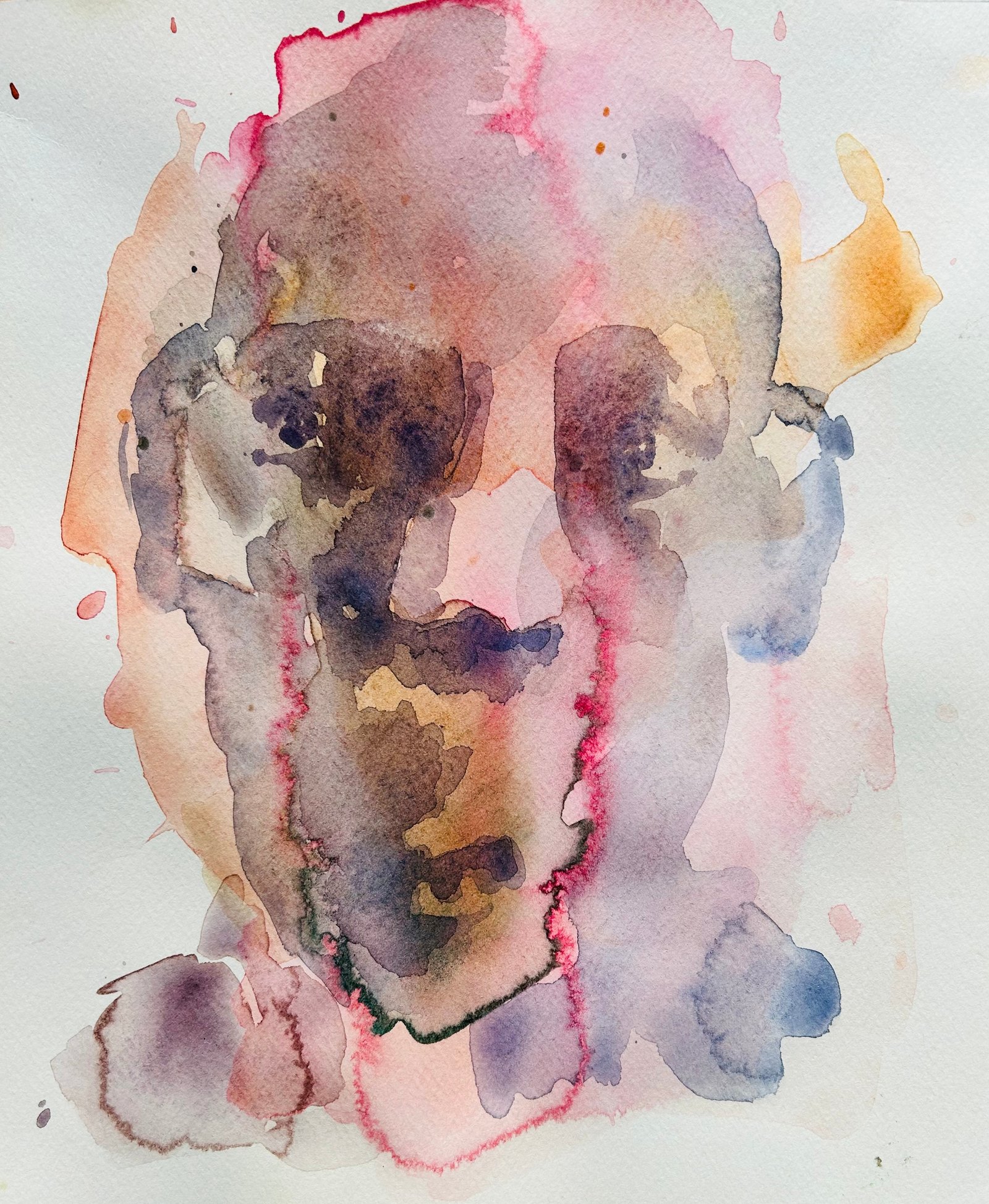 Faces from Recent Times - Main View