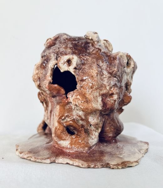 Multiple terrified faces emerging from a single head - Thumbnail 5